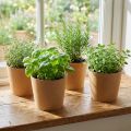 Ültetőgép, virágcserép, papírültető natúr Ø15cm H13cm 4db | Floristik24.hu