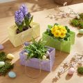 Ajándéktáskák szőtt füllel zöld, sárga, lila 20×10×10cm 6db | Floristik24.hu