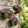 Függő kosárnövények fém rozsda megjelenés H30/33,5/40cm 3 db-os készlet | Floristik24.hu