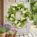 Százszorszép koszorú fehér zöld mesterséges Ø28cm H9cm | Floristik24.hu