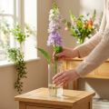 Levkoje művirág lila Műkerti virág 78cm | Floristik24.hu