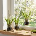 Gyöngyvirág üvegben mesterséges korai virágzás H22cm 3db | Floristik24.hu