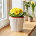 Redős mandzsetta fehér 8,5cm 100 db | Floristik24.hu