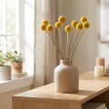 Craspedia szárított virágok, sárga, 70 cm, dekoratív, 10 darab | Floristik24.hu