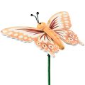 Floristik24 Virágdugó fából készült dekoratív pillangók boton 23cm 16db
