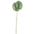Floristik24 Calathea mesterséges kosár Marante mesterséges növények zöld 51cm