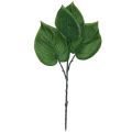Floristik24 Philodendron műfa barát műnövények zöld 39cm