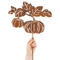 Kerti karó tök motívummal, fém díszítéssel, rozsdabarna felülettel, 100 cm | Floristik24.hu