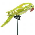 Floristik24 Kerti dugó papagáj sárga 16cm