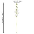 Műkardvirág, hosszú szárú, vázába, 88 cm | Floristik24.hu