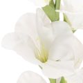 Műkardvirág, hosszú szárú, vázába, 88 cm | Floristik24.hu