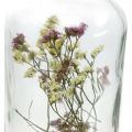 Floristik24 Üveg gyertyatartóval, üvegdísz szárított virágokkal H16cm Ø8,5cm