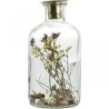 Floristik24 Üveg gyertyatartóval, üvegdísz szárított virágokkal H16cm Ø8,5cm