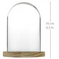 Floristik24 Dekoratív harang, üvegkupola fa tányérral, asztaldísz H16cm Ø12,5cm