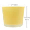 Floristik24 Üveg virágcserép sárga cserepes üveg kád Ø14,5cm H12,5cm