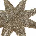 Floristik24 Dekoratív csillag csillogó pezsgő 10cm 12db
