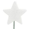 Floristik24 Csillogó csillag dróton 5cm fehér L23cm 48db