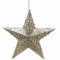 Floristik24 Glitter csillag pezsgő 9,5/5cm 18db
