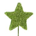 Floristik24 Csillogó csillagok drót zölden 5cm 48db
