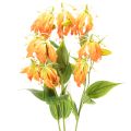 Floristik24 Művirág Gloriosa narancs hosszú szárral vázába 80cm 3db