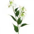 Floristik24 Műliliom, virágdísz, műnövény, selyemvirág fehér L82cm 3db
