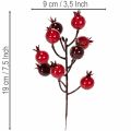 Mű gránátalmaág elágazó szárakkal vázadíszként, 19 cm, 4 darab | Floristik24.hu