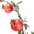 Mesterséges gránátalmaág gyümölcságként asztaldísznek, 68cm | Floristik24.hu