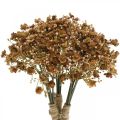 Floristik24 Gypsophila műbarna őszi csokor 29,5cm 18db