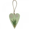 Floristik24 Virágos dekoratív szívek fa zöld, fehér 8,5×12cm 4db