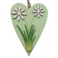Floristik24 Virágos dekoratív szívek fa zöld, fehér 8,5×12cm 4db