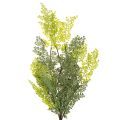 Műpáfrányág, finom, vázába, 80cm | Floristik24.hu