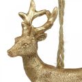 Floristik24 Karácsonyi medál rénszarvas deco szarvas arany 9,5cm 4db