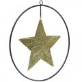 Floristik24 Karácsonyi dekoráció csillag medál arany fekete 12,5cm 3db