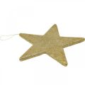 Floristik24 Karácsonyi dekoráció csillag medál arany glitter 30cm 2db