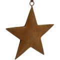Floristik24 Karácsonyi medál csillag fém csillag rozsda megjelenés H13,5cm