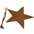 Floristik24 Karácsonyi medál csillag fém csillag rozsda megjelenés H13,5cm