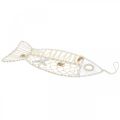 Floristik24 Dekoratív hal kagylódíszítéssel, tengeri dekorációval, akasztható hal fehér 38cm