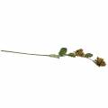 Mogyoró ág zöld / barna 84cm | Floristik24.hu