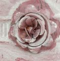 Floristik24 Rózsával mosott rózsaszín edény fogantyúja Ø22cm H13,5cm