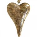 Floristik24 Fa szívek arany díszítéssel, mangófa, dekoratív medálok 10cm × 7cm 8db