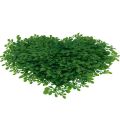 Floristik24 Dekoratív szív puszpáng mesterséges díszszőnyeg zöld 30,5cm