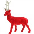 Floristik24 Dekoratív szarvas dekoratív figura dekoratív rénszarvas nyelt piros H28cm