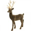 Floristik24 Dekoratív szarvas dekoratív figura dekoratív rénszarvas nyelt barna H46cm