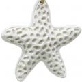 Floristik24 Deco fogas tengeri csillag, csikóhal 12cm 3db
