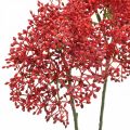 Floristik24 Bodza piros művirág őszi csokorba 52cm 6db