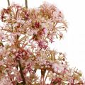 Floristik24 Virágzó deco ág sötét rózsaszín Műréti virágok 88cm