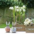 Floristik24 Fa nyúl tojásban, tavaszi dekoráció, szemüveges nyulak, húsvéti nyuszik 3db