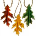 Floristik24 Díszlevél fa felakasztáshoz színes őszi dekorációhoz 6,5×4cm 12db
