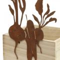 Floristik24 Rozsdadíszítésű növényi doboz fa növényi edény 17×17×12 cm