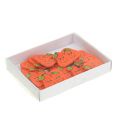 Floristik24 Fa sütőtök ragasztáshoz 2,5cm narancs 18db